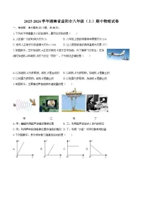 2025-2026学年湖南省益阳市八年级（上）期中物理试卷-自定义类型