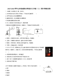2025-2026学年山东省威海市荣成市九年级（上）期中物理试卷-自定义类型