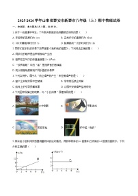 2025-2026学年山东省泰安市新泰市八年级（上）期中物理试卷-自定义类型