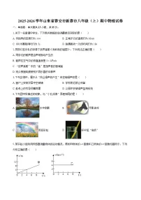 2025-2026学年山东省泰安市新泰市八年级（上）期中物理试卷-自定义类型