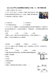 2025-2026学年山东省聊城市高唐县九年级（上）期中物理试卷-自定义类型
