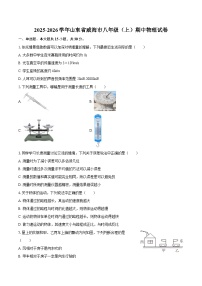 2025-2026学年山东省威海市八年级（上）期中物理试卷-自定义类型