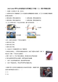 2025-2026学年山东省临沂市莒南县八年级（上）期中物理试卷-自定义类型