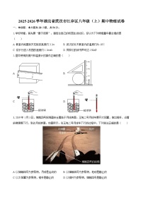 2025-2026学年湖北省武汉市江岸区八年级（上）期中物理试卷-自定义类型