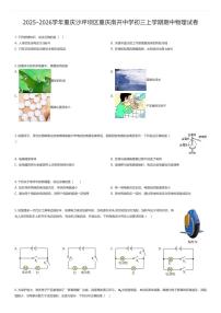 2025~2026学年重庆沙坪坝区重庆南开中学初三上学期期中物理试卷（有答案解析）