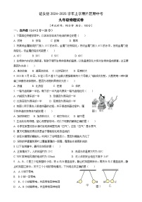 福建省漳州市诏安片区九年级上学期期中考试物理试题-A4