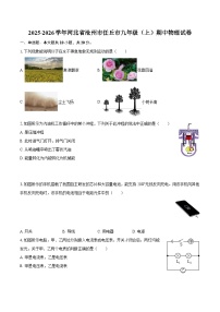 2025-2026学年河北省沧州市任丘市九年级（上）期中物理试卷-自定义类型