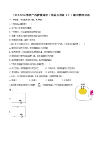 2025-2026学年广西防城港市上思县九年级（上）期中物理试卷-自定义类型
