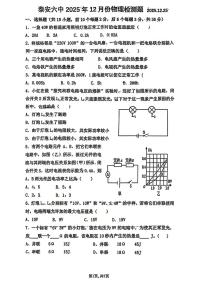 山东省泰安第六中学2025-2026学年九年级上学期12月月考物理试题
