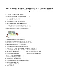 2024-2025学年广东省佛山实验学校八年级（下）第一次月考物理试卷-自定义类型