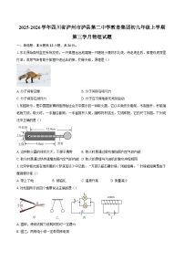 2025-2026学年四川省泸州市泸县第二中学教育集团初九年级上学期第三学月物理试题-自定义类型