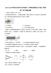 2025-2026学年四川省泸州市泸县第二中学教育集团初九年级上学期第三学月物理试题-自定义类型