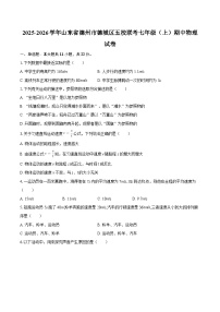 2025-2026学年山东省德州市德城区五校联考七年级（上）期中物理试卷-自定义类型