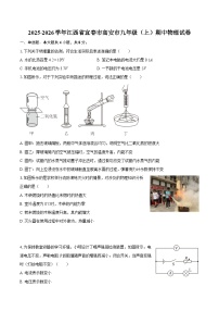 2025-2026学年江西省宜春市高安市九年级（上）期中物理试卷-自定义类型