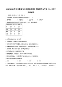 2025-2026学年安徽省安庆市桐城市部分学校联考九年级（上）期中物理试卷-自定义类型