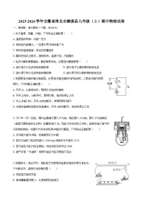 2025-2026学年安徽省淮北市濉溪县九年级（上）期中物理试卷-自定义类型