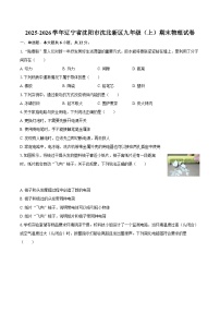 2025-2026学年辽宁省沈阳市沈北新区九年级（上）期末物理试卷-自定义类型