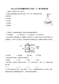 2025-2026学年新疆伊犁州九年级（上）期中物理试卷-自定义类型