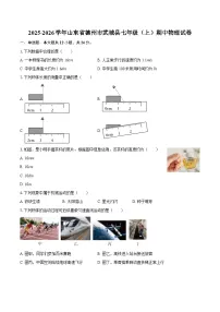 2025-2026学年山东省德州市武城县七年级（上）期中物理试卷-自定义类型