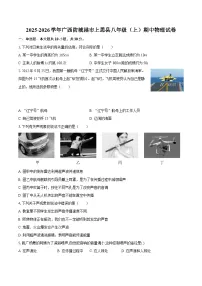 2025-2026学年广西防城港市上思县八年级（上）期中物理试卷-自定义类型