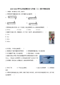 2025-2026学年山东省潍坊市七年级（上）期中物理试卷-自定义类型