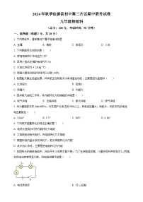 福建省泉州市仙游县第三片区九年级上学期期中考试物理试题（原卷版）-A4