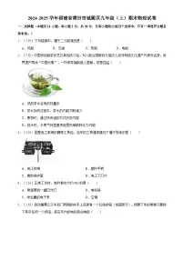 福建省莆田市城厢区九年级上学期期末物理试卷-A4