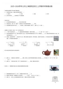 2025~2026学年12月上海普陀区初三上学期月考物理试卷（有答案解析）