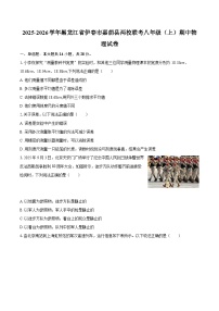 2025-2026学年黑龙江省伊春市嘉荫县两校联考八年级（上）期中物理试卷-自定义类型