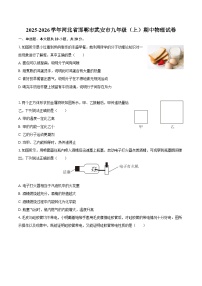 2025-2026学年河北省邯郸市武安市九年级（上）期中物理试卷-自定义类型