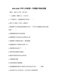 河南省鄢陵县彭店镇2025-2026学年九年级上学期期中物理试题(含答案)