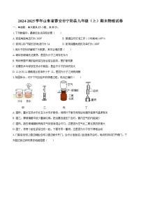 2024-2025学年山东省泰安市宁阳县九年级（上）期末物理试卷-自定义类型
