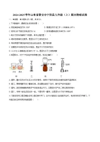 2024-2025学年山东省泰安市宁阳县九年级（上）期末物理试卷-自定义类型