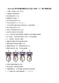 2025-2026学年河南省南阳市内乡县九年级（上）期中物理试卷-自定义类型