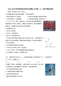 2025-2026学年陕西省宝鸡市凤翔区九年级（上）期中物理试卷-自定义类型