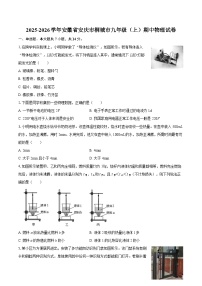 2025-2026学年安徽省安庆市桐城市九年级（上）期中物理试卷-自定义类型