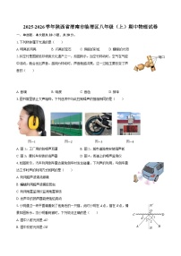 2025-2026学年陕西省渭南市临渭区八年级（上）期中物理试卷-自定义类型