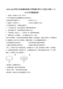 2025-2026学年江苏省南京师范大学附属中学江宁分校八年级（上）12月月考物理试卷-自定义类型