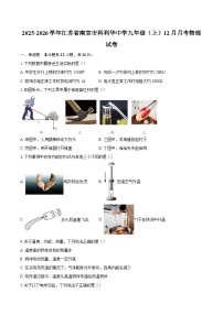 2025-2026学年江苏省南京市科利华中学九年级（上）12月月考物理试卷-自定义类型