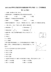 2025-2026学年江苏省苏州市高新实验中学九年级（上）月考物理试卷（12月份）-自定义类型