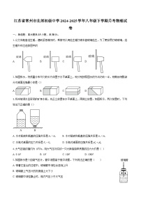 江苏省常州市北郊初级中学2024-2025学年八年级下学期月考物理试卷-自定义类型
