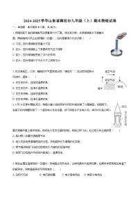 2024-2025学年山东省潍坊市九年级（上）期末物理试卷-自定义类型