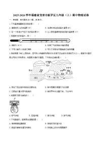 2025-2026学年福建省龙岩市新罗区九年级（上）期中物理试卷-自定义类型