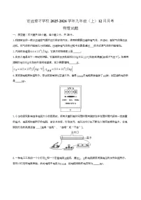 安徽省滁州市定远县育才学校2025-2026学年九年级上学期12月月考物理试题