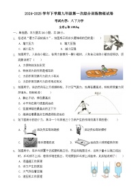 福建省莆田市第十五中学九年级下学期第一次月考物理试题-A4