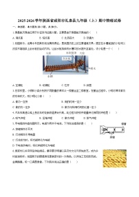 2025-2026学年陕西省咸阳市礼泉县九年级（上）期中物理试卷-自定义类型