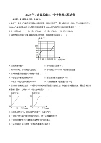 2025年甘肃省武威三中中考物理三模试卷-自定义类型