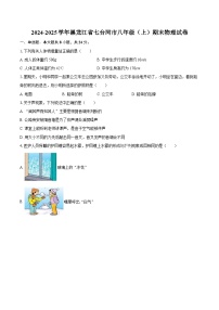 2024-2025学年黑龙江省七台河市八年级（上）期末物理试卷-自定义类型