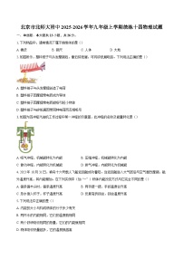 北京市北师大附中2025-2026学年九年级上学期统练十四物理试题-自定义类型