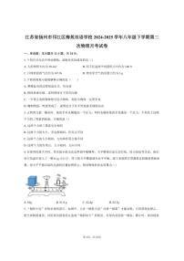 2024-2025学年江苏省扬州市邗江区梅苑双语学校八年级下学期第二次物理月考试卷（有答案）